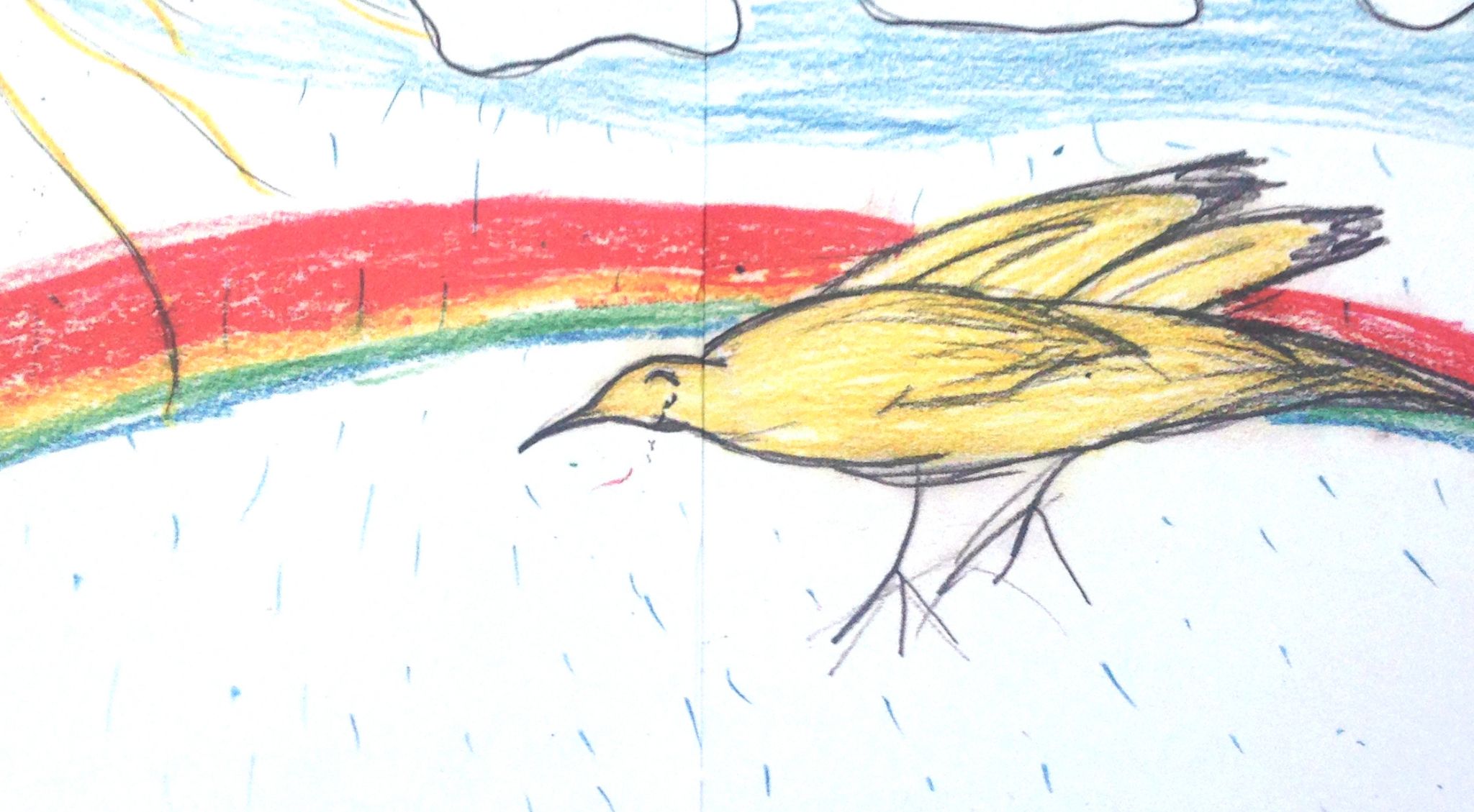 myron levoy der gelbe vogel